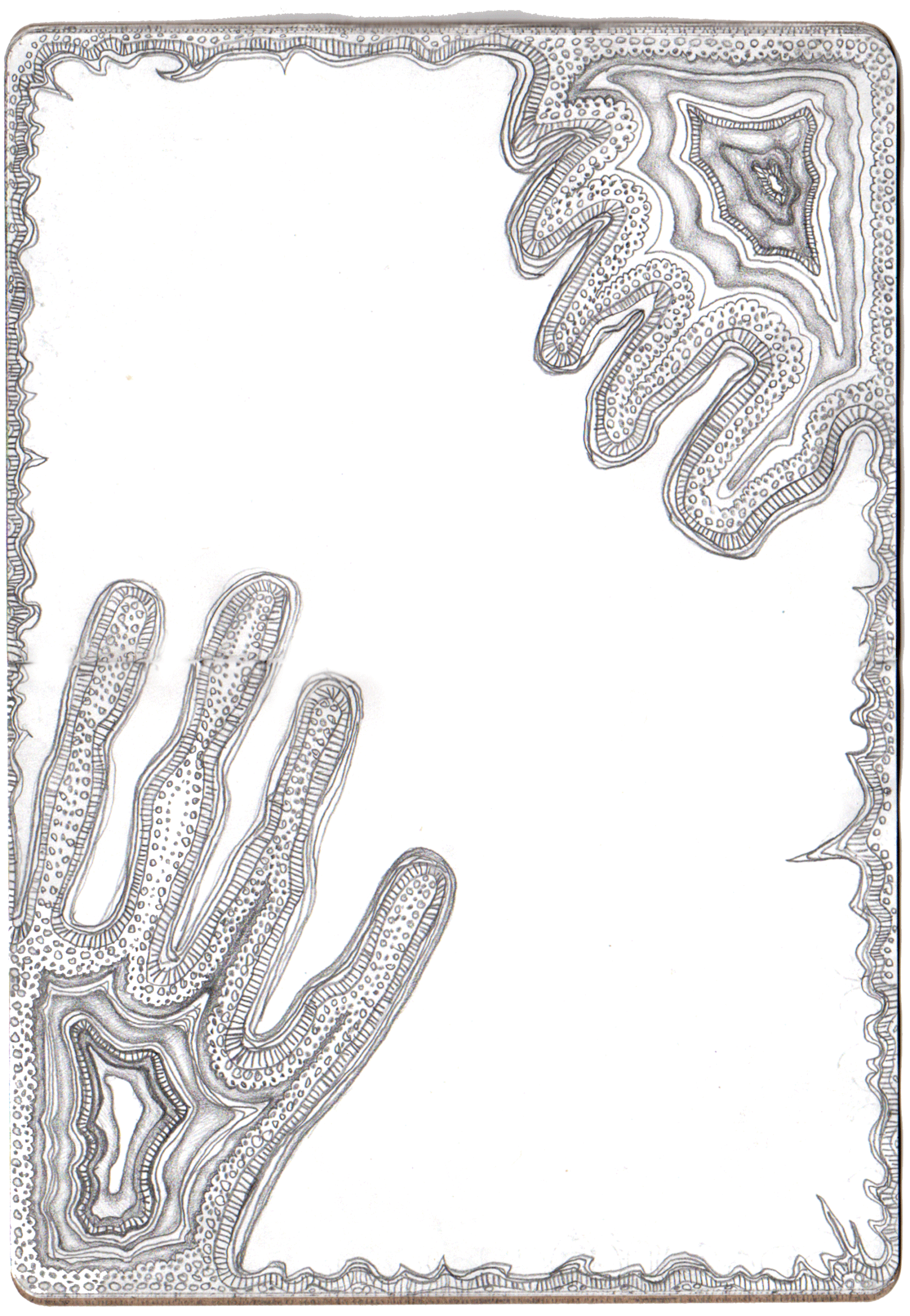 Borders 10 - vertical